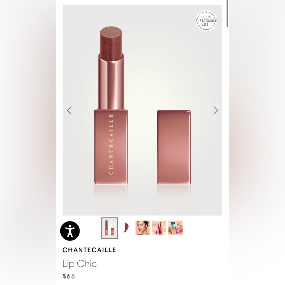 Brand new Chantecialle lip stick